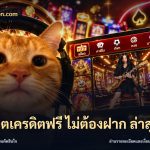 สล็อตเครดิตฟรี ไม่ต้องฝาก ล่าสุด