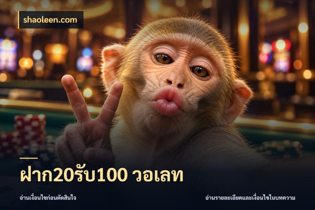ฝาก20รับ100 วอเลท สีสันของโปรฝากและยอดรับ สไตล์ shaoleen.com