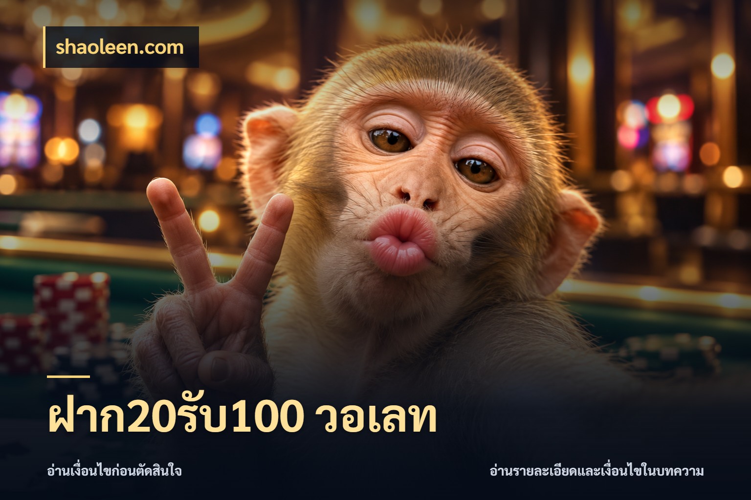 ฝาก20รับ100 วอเลท สีสันของโปรฝากและยอดรับ สไตล์ shaoleen.com